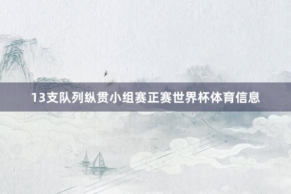 13支队列纵贯小组赛正赛世界杯体育信息