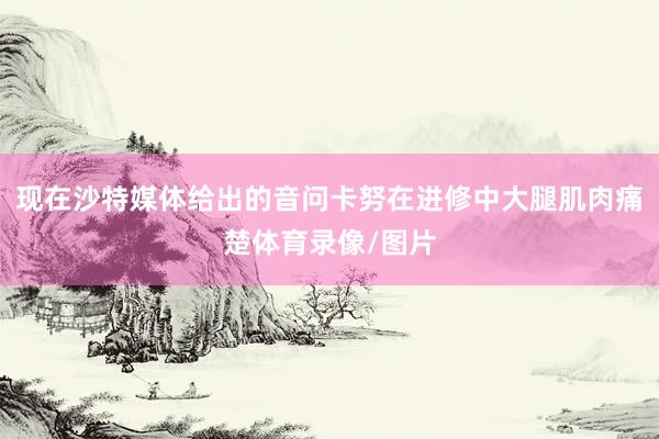 现在沙特媒体给出的音问卡努在进修中大腿肌肉痛楚体育录像/图片