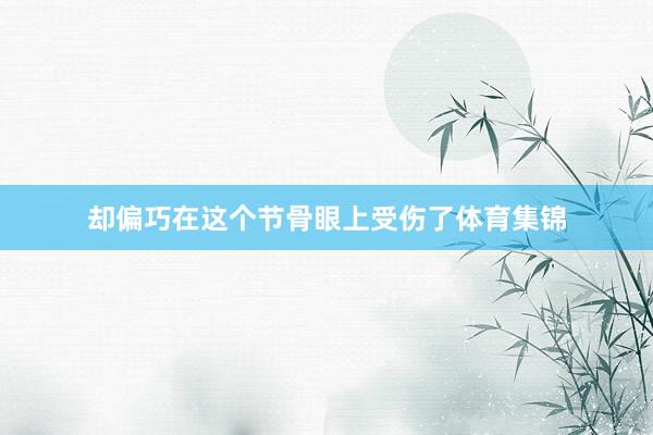 却偏巧在这个节骨眼上受伤了体育集锦