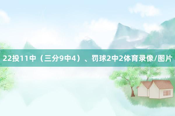 22投11中（三分9中4）、罚球2中2体育录像/图片