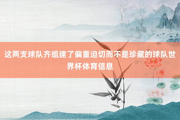 这两支球队齐组建了偏重迫切而不是珍藏的球队世界杯体育信息