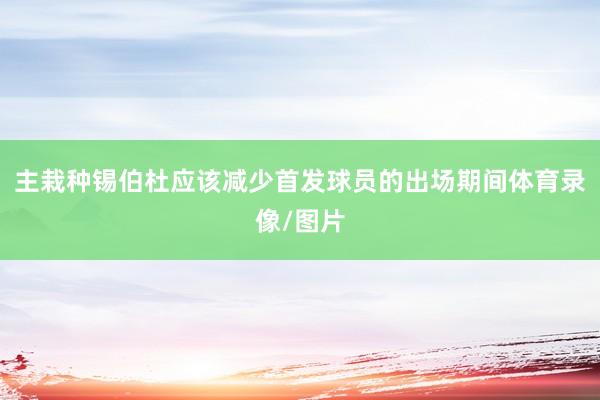 主栽种锡伯杜应该减少首发球员的出场期间体育录像/图片