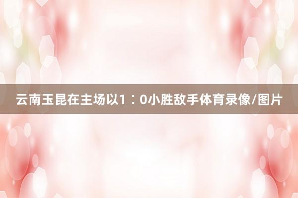 云南玉昆在主场以1∶0小胜敌手体育录像/图片