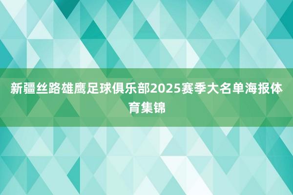 新疆丝路雄鹰足球俱乐部2025赛季大名单海报体育集锦