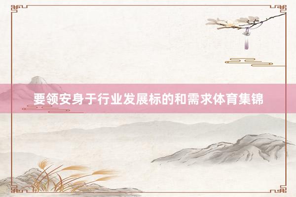 要领安身于行业发展标的和需求体育集锦