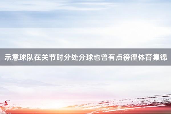 示意球队在关节时分处分球也曾有点徬徨体育集锦