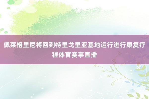 佩莱格里尼将回到特里戈里亚基地运行进行康复疗程体育赛事直播