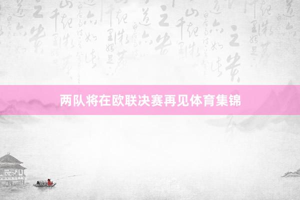 两队将在欧联决赛再见体育集锦