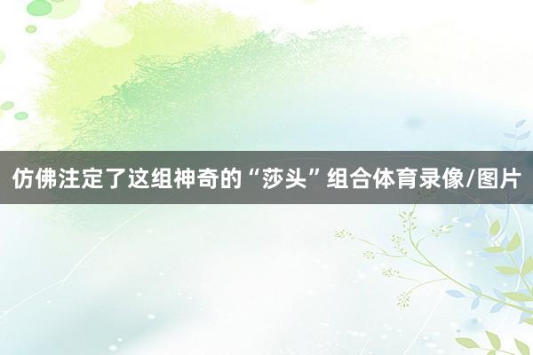仿佛注定了这组神奇的“莎头”组合体育录像/图片