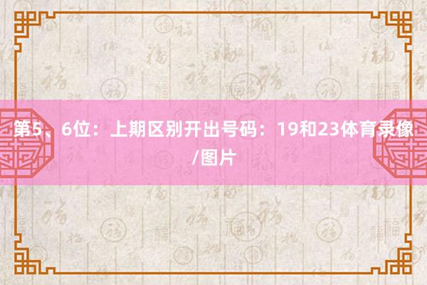 第5、6位:上期区别开出号码:19和23体育录像/图片
