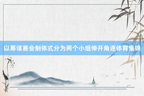以筹谋赛会制体式分为两个小组伸开角逐体育集锦