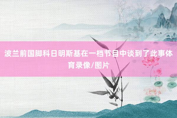 波兰前国脚科日明斯基在一档节目中谈到了此事体育录像/图片
