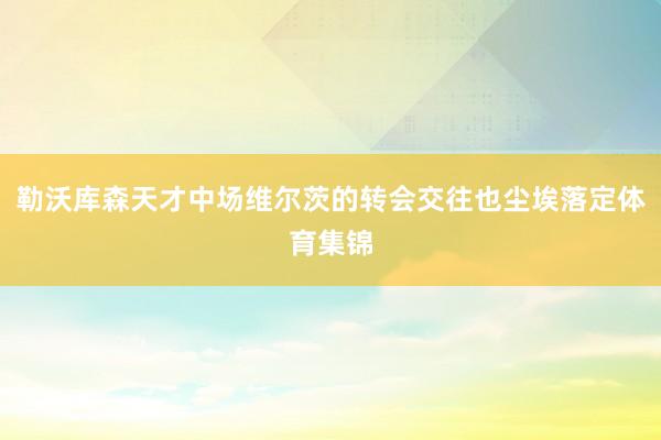 勒沃库森天才中场维尔茨的转会交往也尘埃落定体育集锦