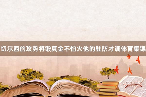 切尔西的攻势将锻真金不怕火他的驻防才调体育集锦