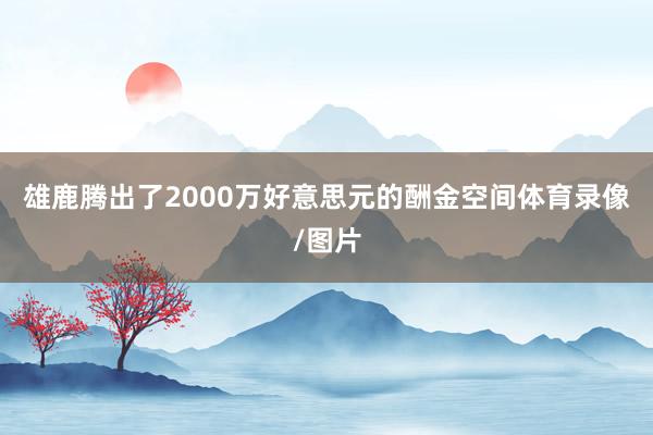 雄鹿腾出了2000万好意思元的酬金空间体育录像/图片