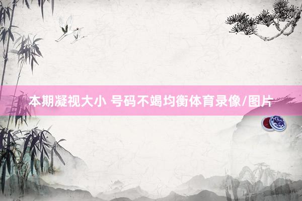 本期凝视大小 号码不竭均衡体育录像/图片