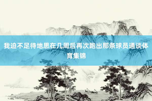 我迫不足待地思在几周后再次跑出那条球员通谈体育集锦