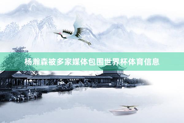 杨瀚森被多家媒体包围世界杯体育信息