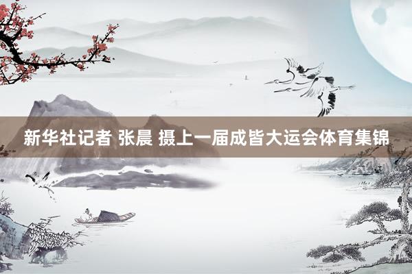 新华社记者 张晨 摄上一届成皆大运会体育集锦