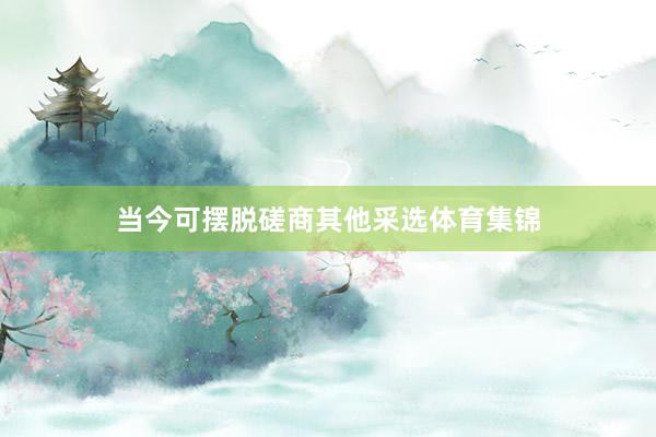 当今可摆脱磋商其他采选体育集锦