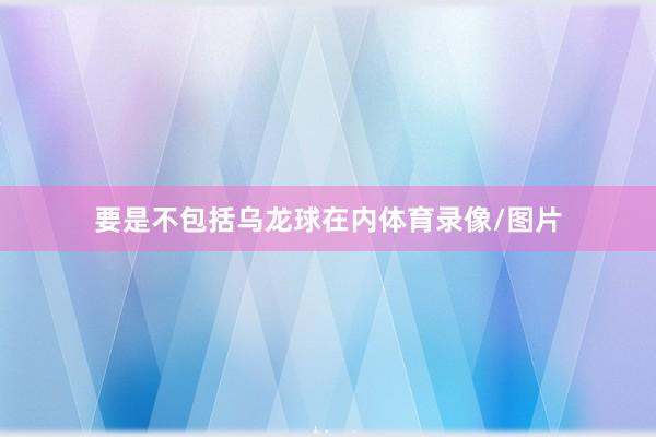要是不包括乌龙球在内体育录像/图片