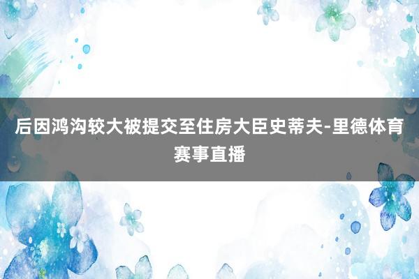 后因鸿沟较大被提交至住房大臣史蒂夫-里德体育赛事直播