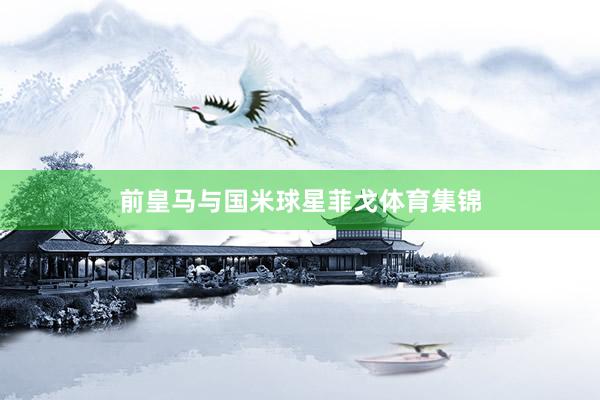 前皇马与国米球星菲戈体育集锦