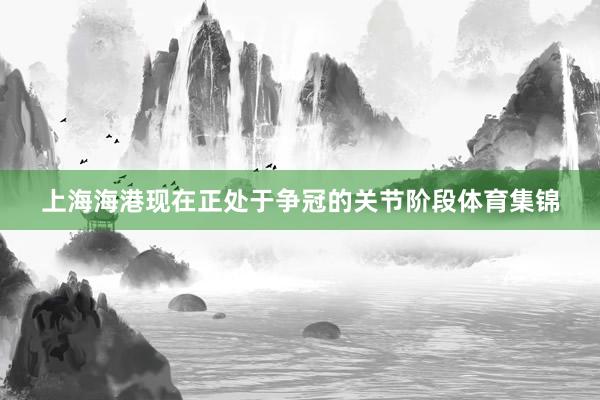 上海海港现在正处于争冠的关节阶段体育集锦