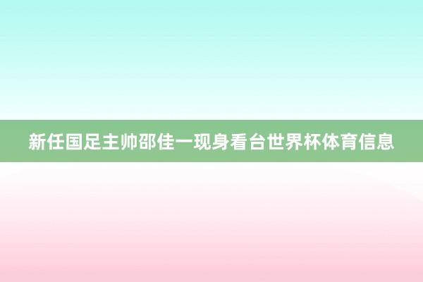 新任国足主帅邵佳一现身看台世界杯体育信息