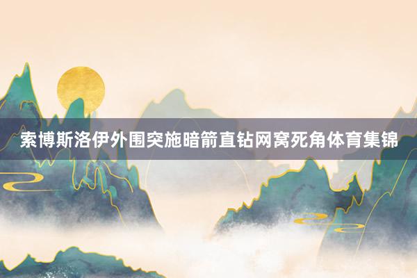 索博斯洛伊外围突施暗箭直钻网窝死角体育集锦