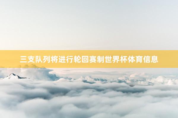 三支队列将进行轮回赛制世界杯体育信息