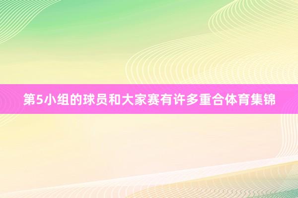第5小组的球员和大家赛有许多重合体育集锦