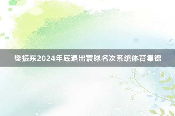 樊振东2024年底退出寰球名次系统体育集锦