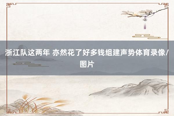 浙江队这两年 亦然花了好多钱组建声势体育录像/图片