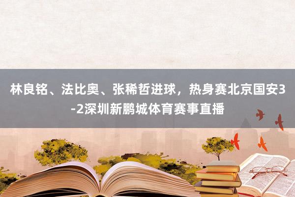林良铭、法比奥、张稀哲进球，热身赛北京国安3-2深圳新鹏城体育赛事直播