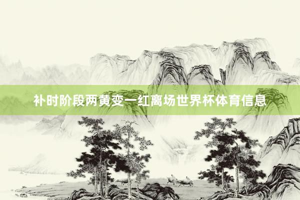 补时阶段两黄变一红离场世界杯体育信息