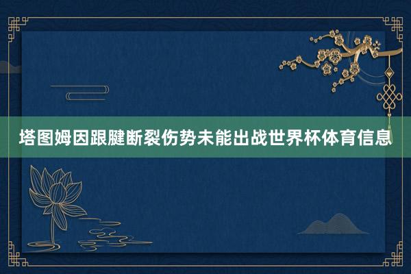 塔图姆因跟腱断裂伤势未能出战世界杯体育信息
