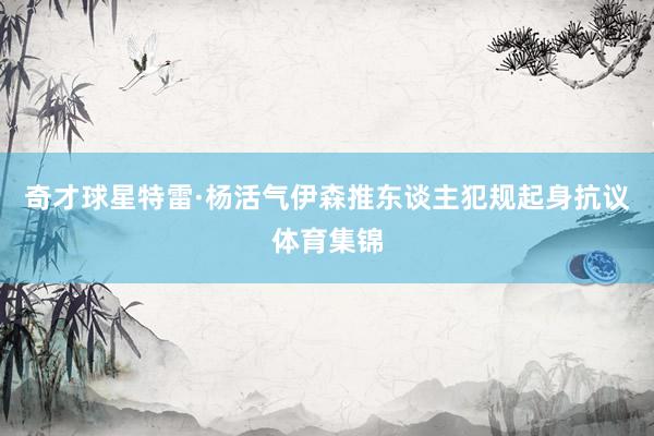 奇才球星特雷·杨活气伊森推东谈主犯规起身抗议体育集锦