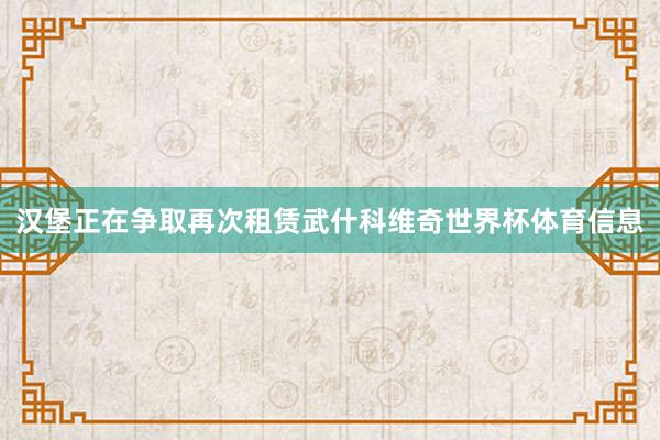 汉堡正在争取再次租赁武什科维奇世界杯体育信息