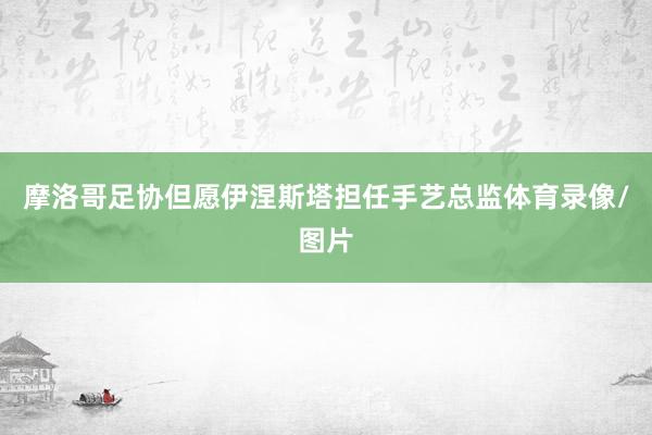 摩洛哥足协但愿伊涅斯塔担任手艺总监体育录像/图片