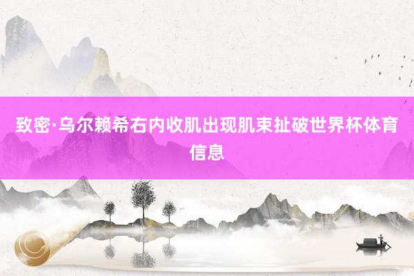 致密·乌尔赖希右内收肌出现肌束扯破世界杯体育信息
