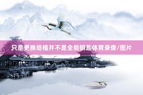 只是更换培植并不是全能钥匙体育录像/图片
