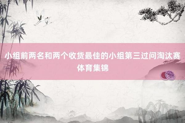 小组前两名和两个收货最佳的小组第三过问淘汰赛体育集锦