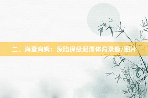 二、海登海姆：深陷保级泥潭体育录像/图片