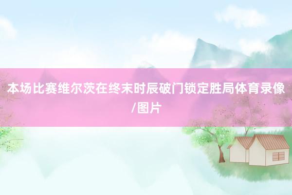 本场比赛维尔茨在终末时辰破门锁定胜局体育录像/图片