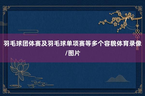 羽毛球团体赛及羽毛球单项赛等多个容貌体育录像/图片