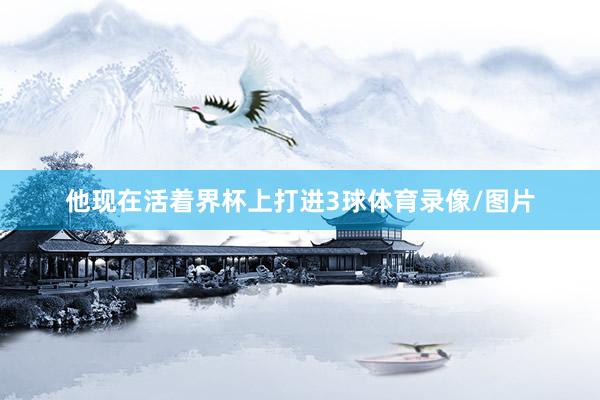 他现在活着界杯上打进3球体育录像/图片