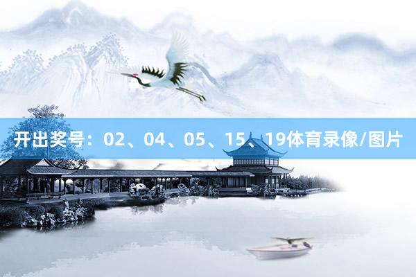 开出奖号：02、04、05、15、19体育录像/图片