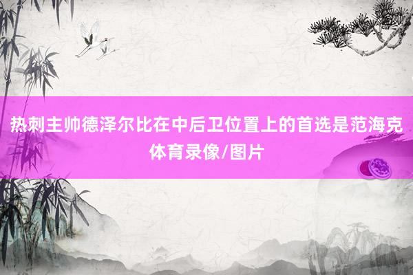 热刺主帅德泽尔比在中后卫位置上的首选是范海克体育录像/图片