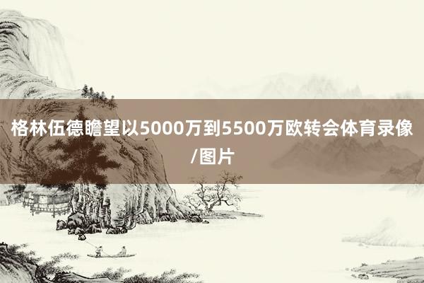 格林伍德瞻望以5000万到5500万欧转会体育录像/图片
